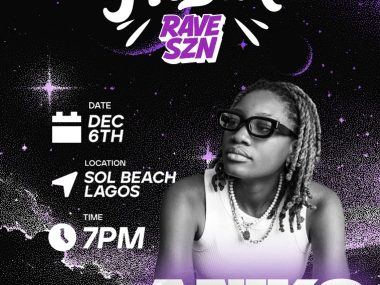 Purple Fiesta Poster